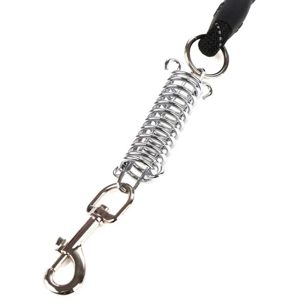 Dog Leash Rope with Foam Grip Steel Spring Buckle Clip - Random Colour. - Image 2