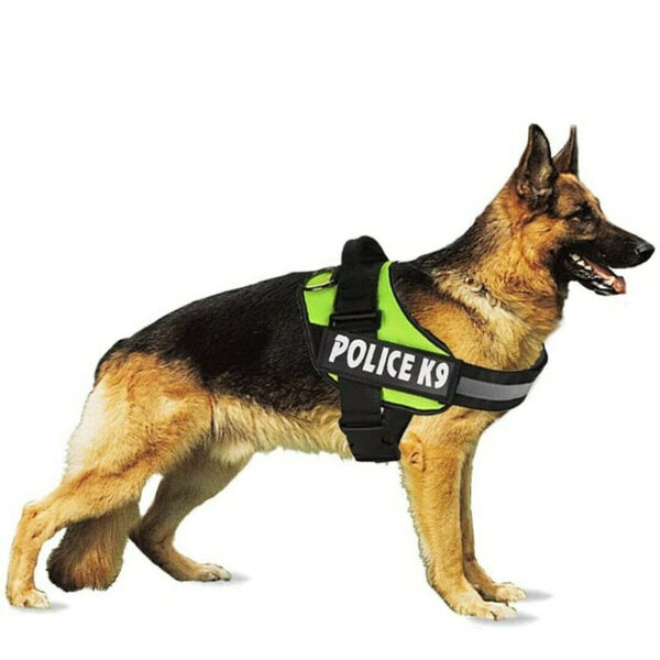 Multi Colours Dog Harness Police K9 Dog Harness Small - Random Colour - Image 2