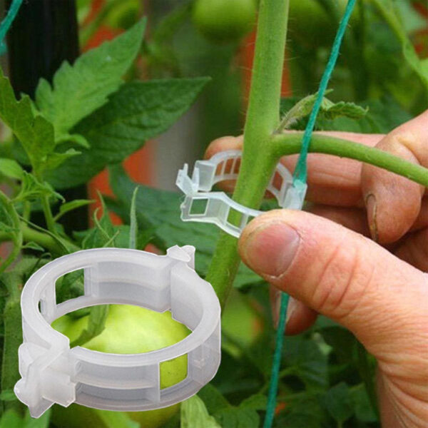 50 pcs Tomato and Veggie Garden Plant Support Clips - Image 2