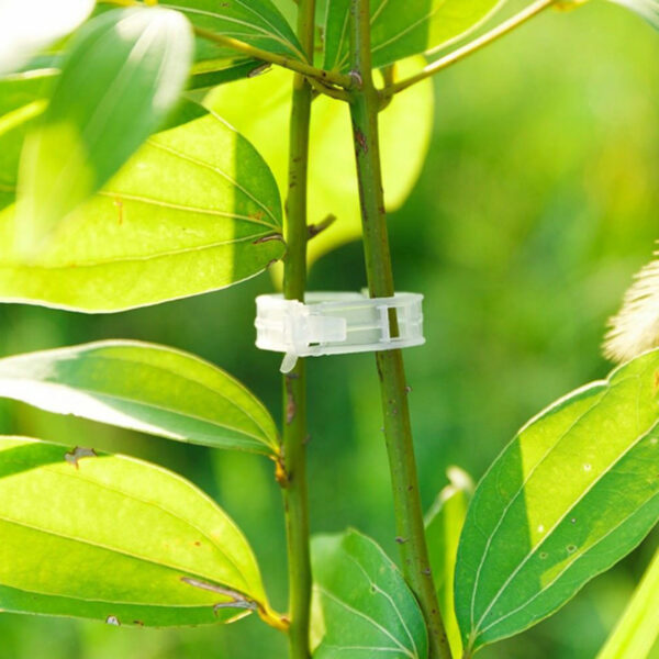 50 pcs Tomato and Veggie Garden Plant Support Clips - Image 3