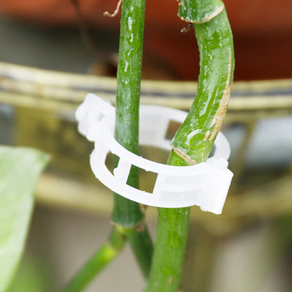 50 pcs Tomato and Veggie Garden Plant Support Clips - Image 4