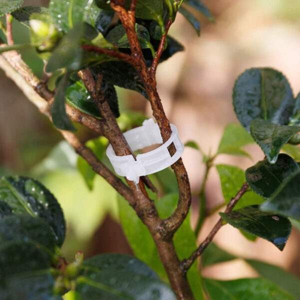 50 pcs Tomato and Veggie Garden Plant Support Clips - Image 5