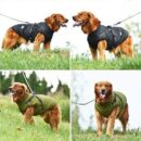 Pet Clothes Autumn Winter Warm Padded Coat Reflective Dog Vest Puppy Jacket with Harness - Green 4XL